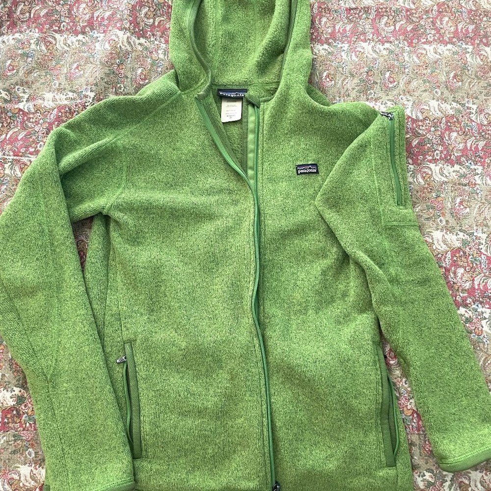 Patagonia Women's Hooded Better Sweater M